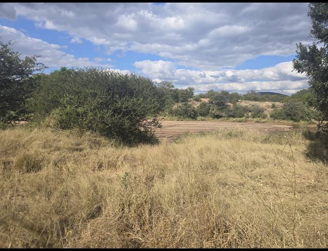 93HA FARM FOR SALE IN MOPANE